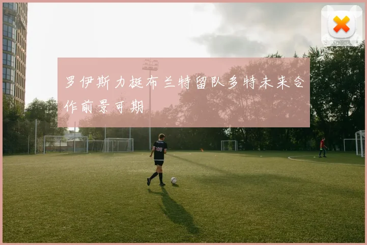 罗伊斯力挺布兰特留队多特未来合作前景可期