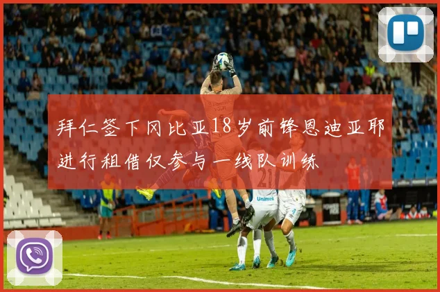 拜仁签下冈比亚18岁前锋恩迪亚耶进行租借仅参与一线队训练