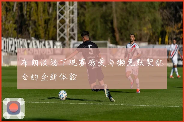 布朗谈场下观赛感受与獭兔默契配合的全新体验